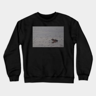 Hatchling II Crewneck Sweatshirt